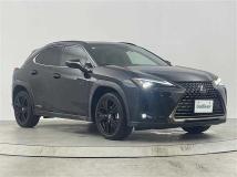 2021 Lexus UX