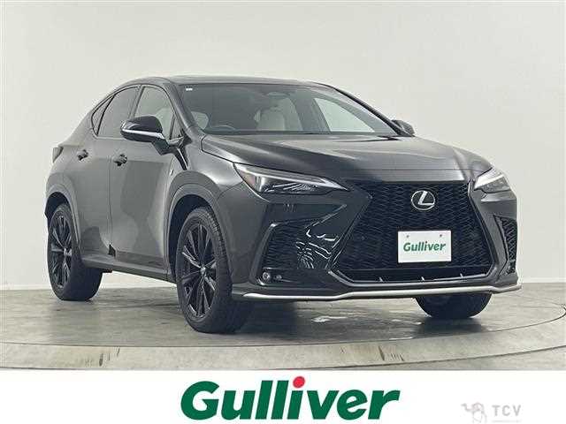 2024 Lexus NX