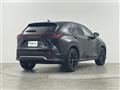 2024 Lexus NX
