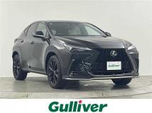 2024 Lexus NX