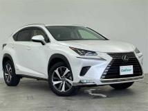 2019 Lexus NX
