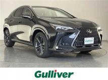 2025 Lexus NX
