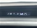 2009 Honda Step WGN