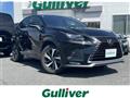 2020 Lexus NX