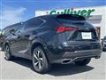 2020 Lexus NX