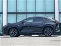 2025 Lexus NX