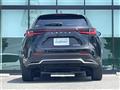2025 Lexus NX