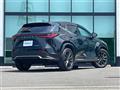 2025 Lexus NX