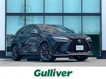 2025 Lexus NX