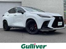 2025 Lexus NX