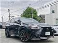 2022 Lexus NX