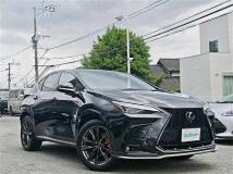 2022 Lexus NX
