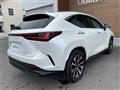 2024 Lexus NX