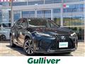 2024 Lexus UX