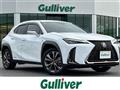 2019 Lexus UX