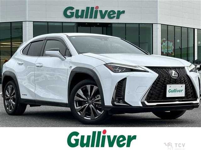 2019 Lexus UX