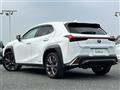 2019 Lexus UX