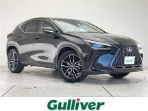 2023 Lexus NX