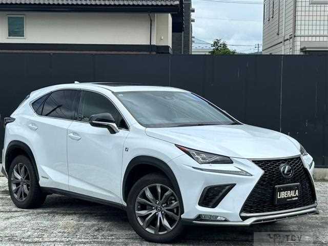 2019 Lexus NX