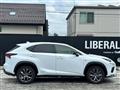 2019 Lexus NX