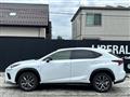 2019 Lexus NX