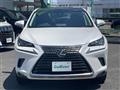 2018 Lexus NX
