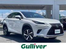 2018 Lexus NX