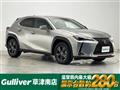 2023 Lexus UX