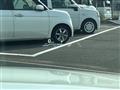 2018 Toyota Crown Hybrid