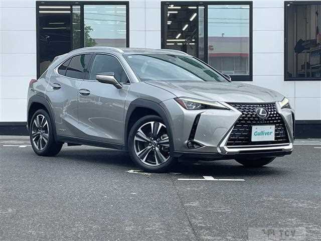 2019 Lexus UX