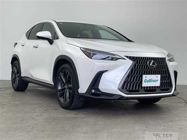 2022 Lexus NX