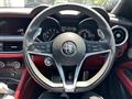2019 Alfa Romeo Alfa Romeo Others