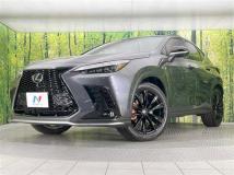 2024 Lexus NX