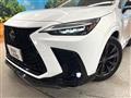 2025 Lexus NX