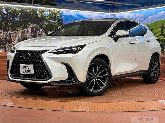 2025 Lexus NX