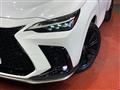 2025 Lexus NX