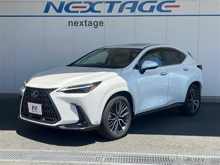 2025 Lexus NX