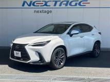 2025 Lexus NX
