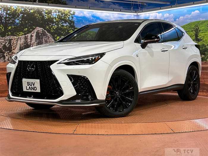 2023 Lexus NX
