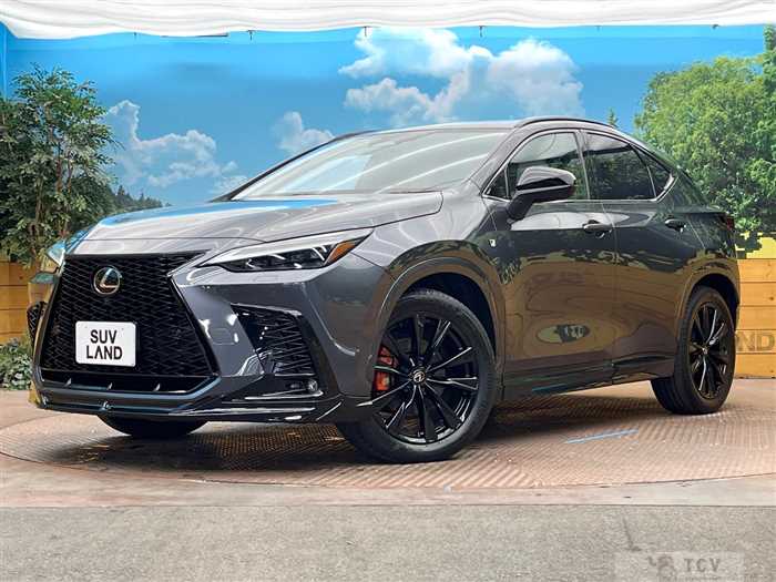 2023 Lexus NX
