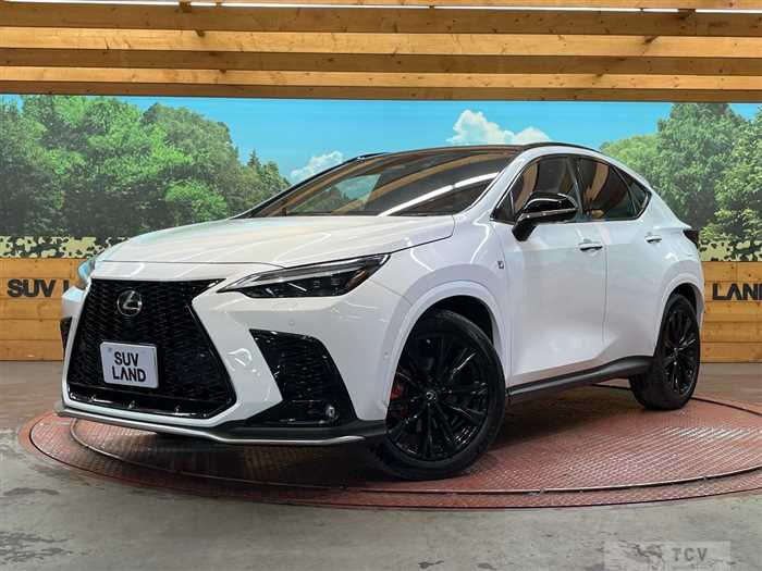 2022 Lexus NX