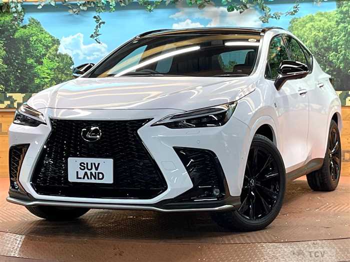 2025 Lexus NX