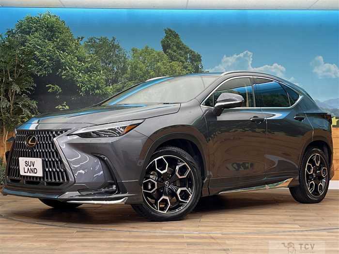 2023 Lexus NX