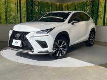 2018 Lexus NX