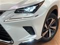 2018 Lexus NX