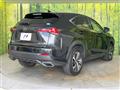 2019 Lexus NX
