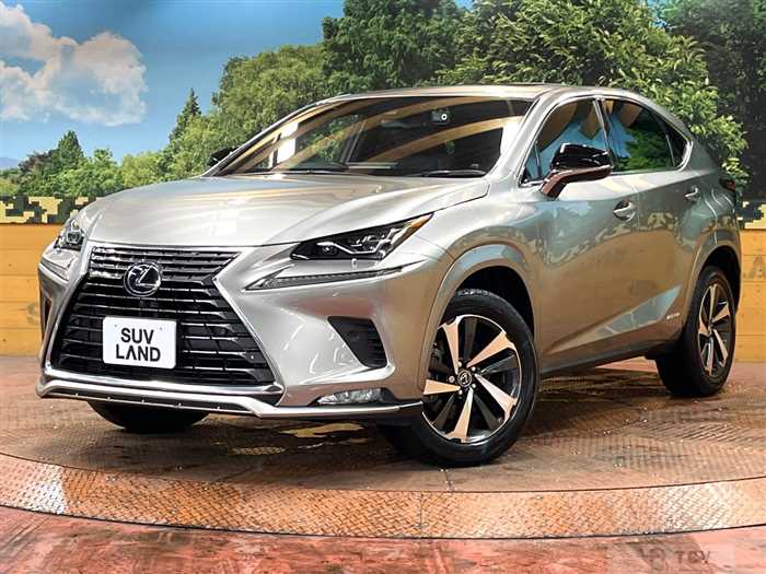 2021 Lexus NX