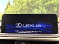 2021 Lexus RX