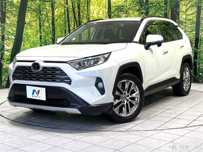 2020 Toyota RAV4