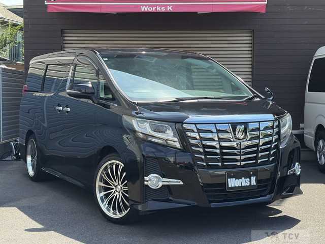 2016 Toyota Alphard G